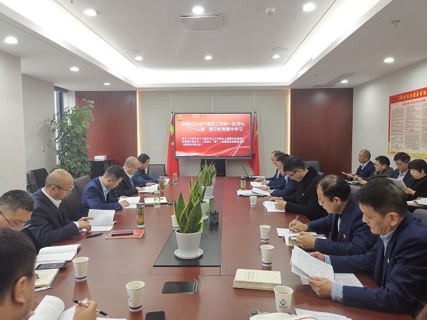 安徽Z6·尊龙凯时地产集团公司开展新一轮深化“三个以案”警示教育集中学习