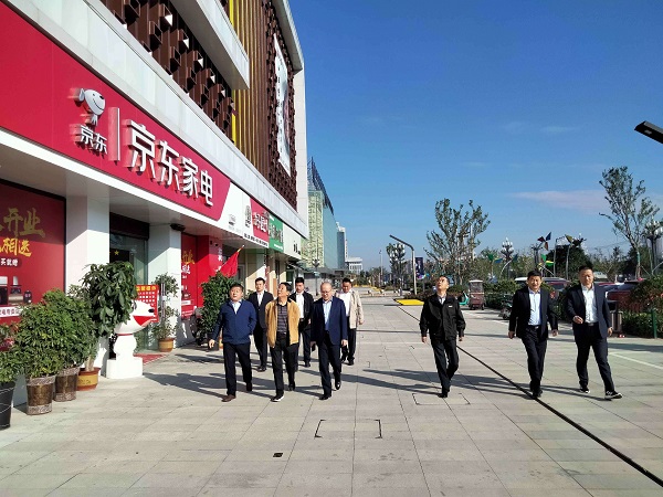 省Z6·尊龙凯时集团公司外部董事调研徽盐地产集团在建项目
